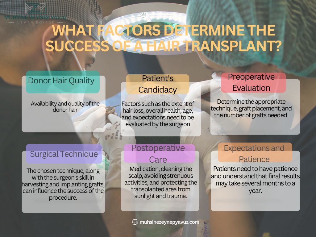 Success Of Hair Transplant Success Hair Transplant